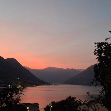 Milka Apartment Kotor Ngoại thất bức ảnh