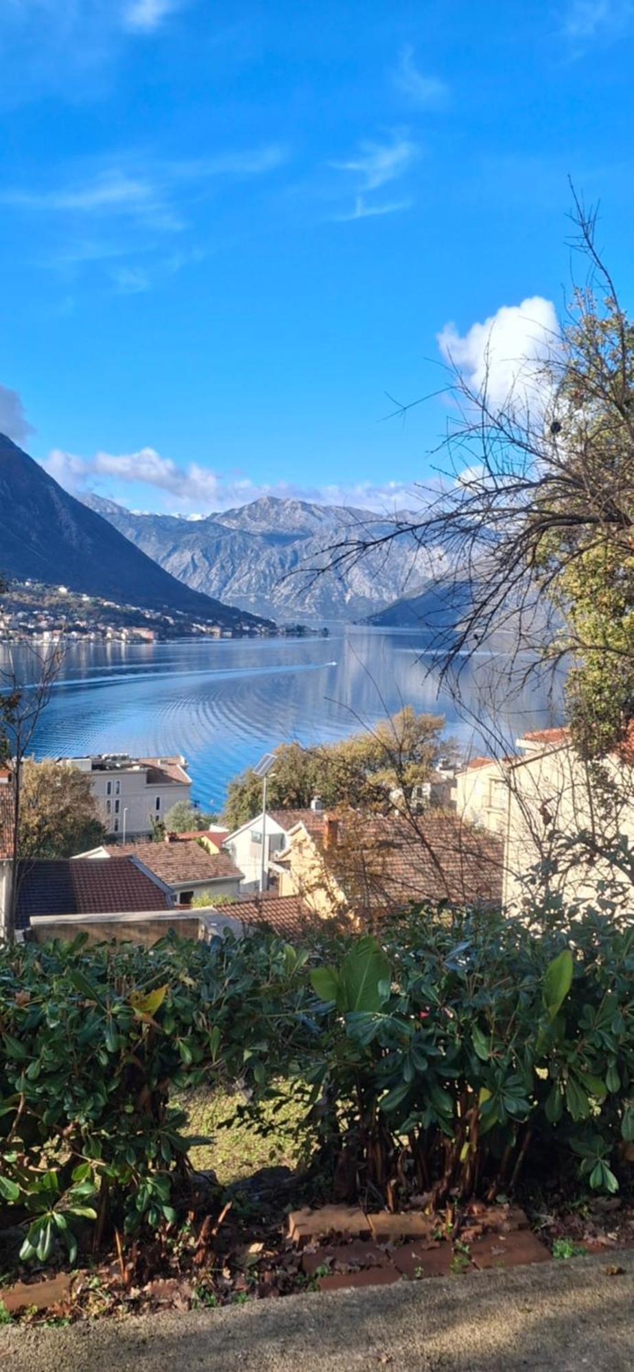 Milka Apartment Kotor Ngoại thất bức ảnh