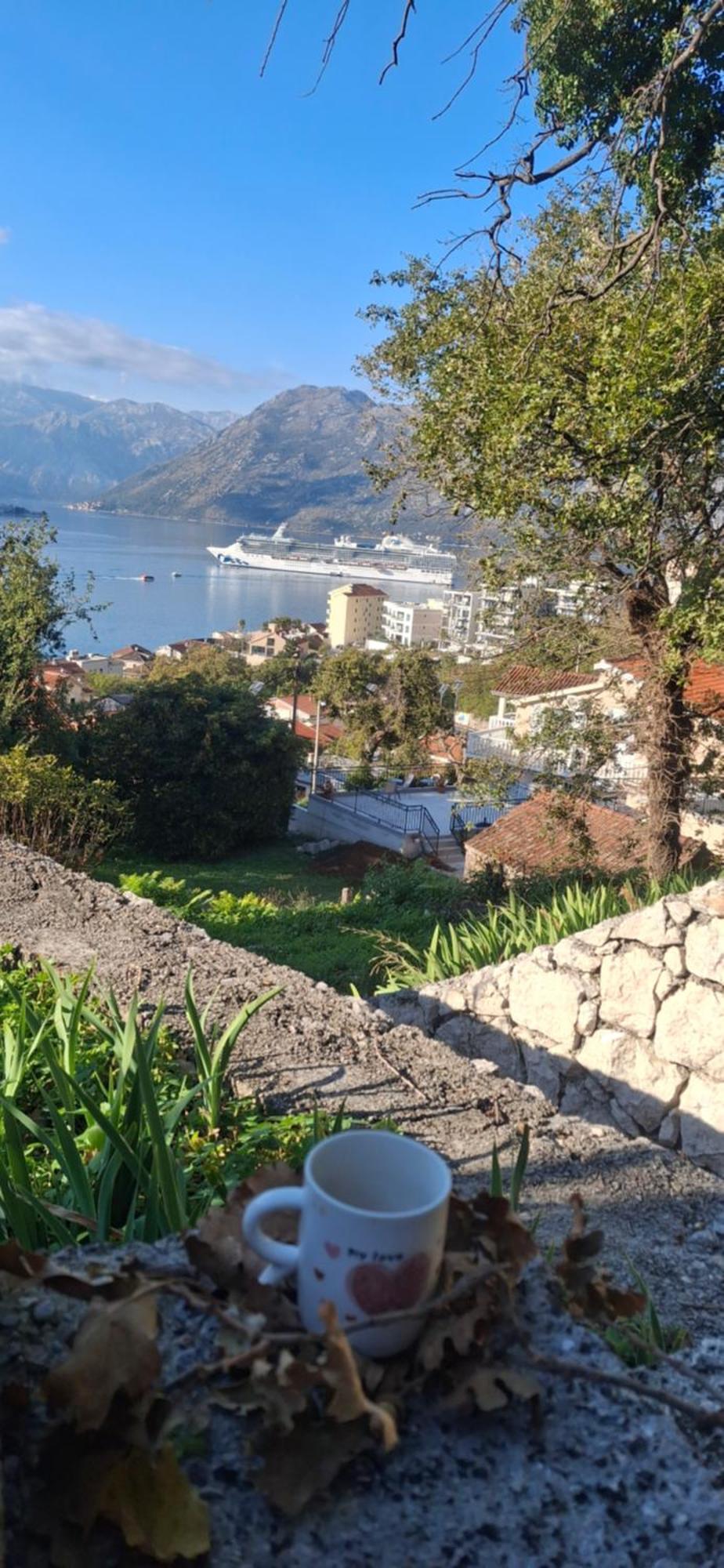 Milka Apartment Kotor Ngoại thất bức ảnh